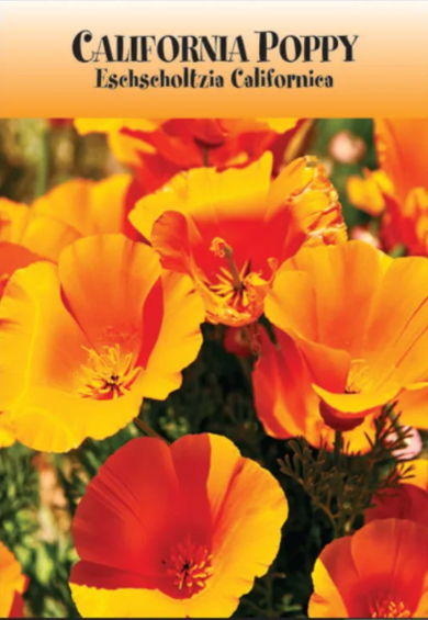 California Poppy Seed Packet